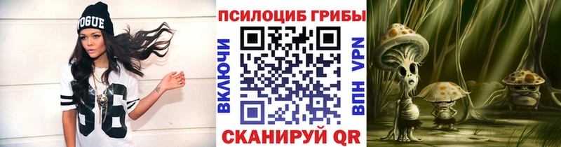 Купить закладки  Берёзовка  Псилоцибиновые грибы GOLDEN TEACHER 
